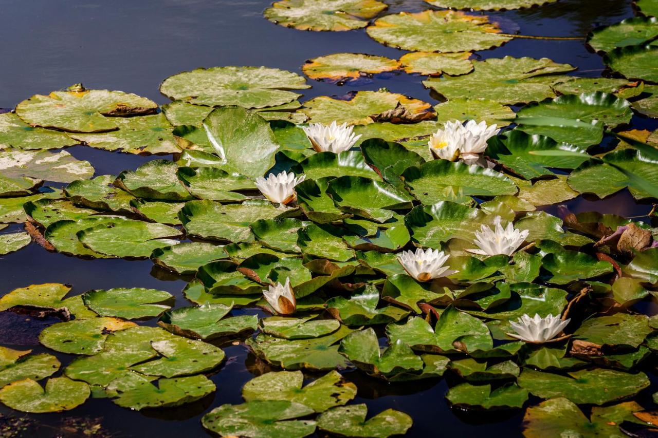 Agriturismo Biologico Autosufficienza Bagno di Romagna Bagian luar foto