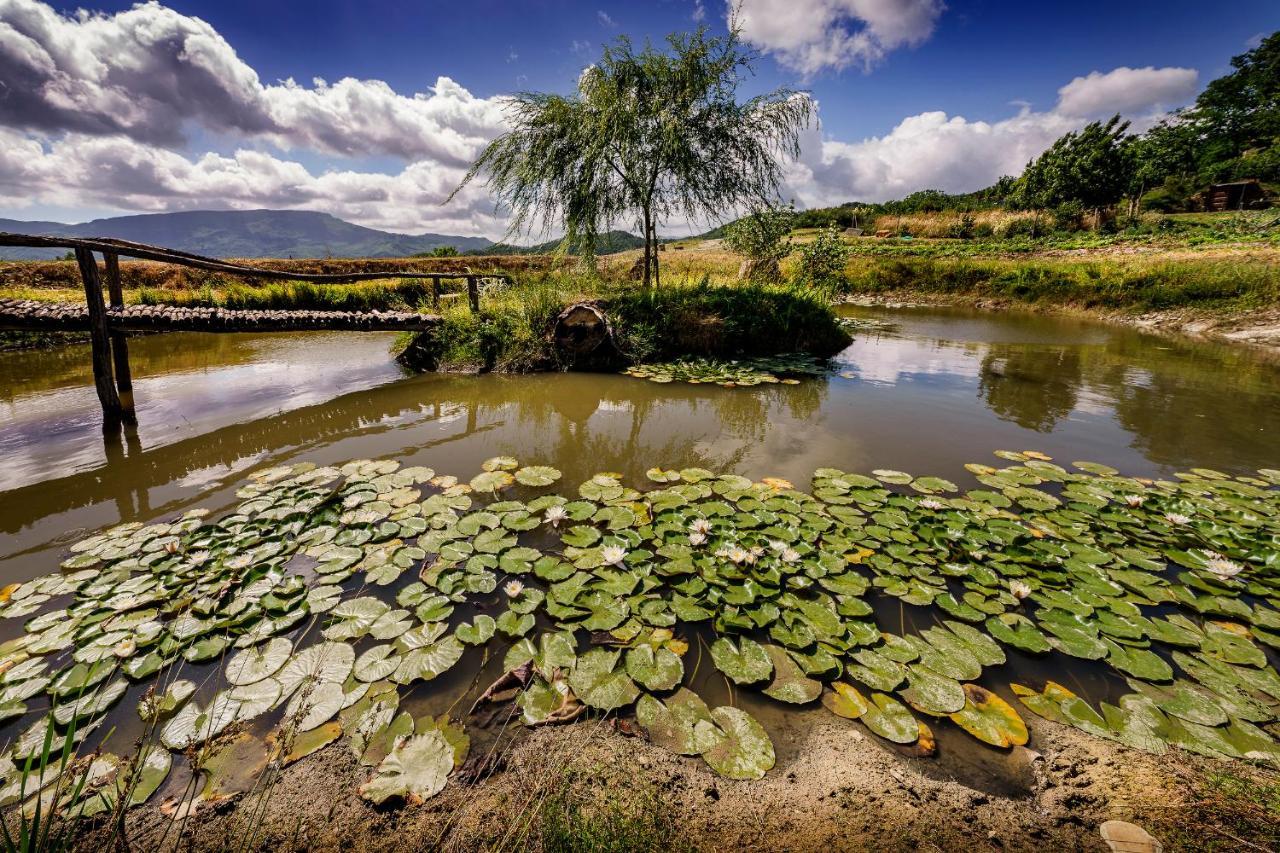 Agriturismo Biologico Autosufficienza Bagno di Romagna Bagian luar foto