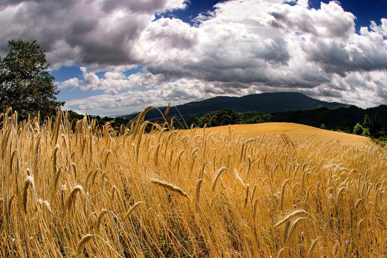 Agriturismo Biologico Autosufficienza Bagno di Romagna Bagian luar foto