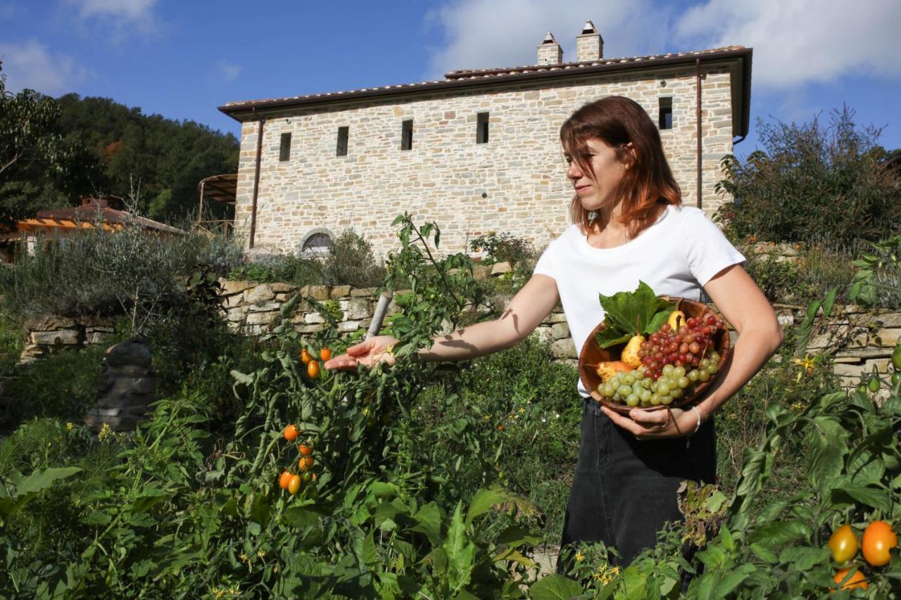 Agriturismo Biologico Autosufficienza Bagno di Romagna Bagian luar foto