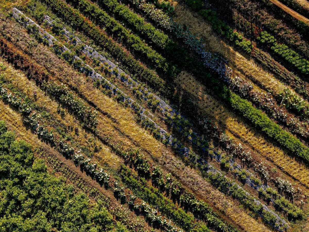 Agriturismo Biologico Autosufficienza Bagno di Romagna Bagian luar foto